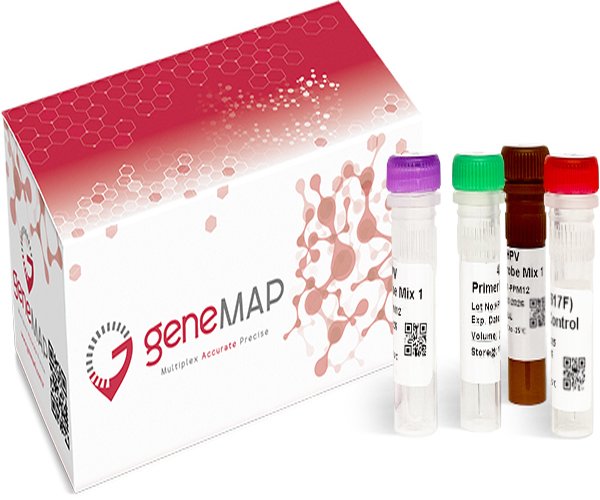 geneMAPTM 2019-nCoV (2019-nCoV) Detection Kit v3, 500T