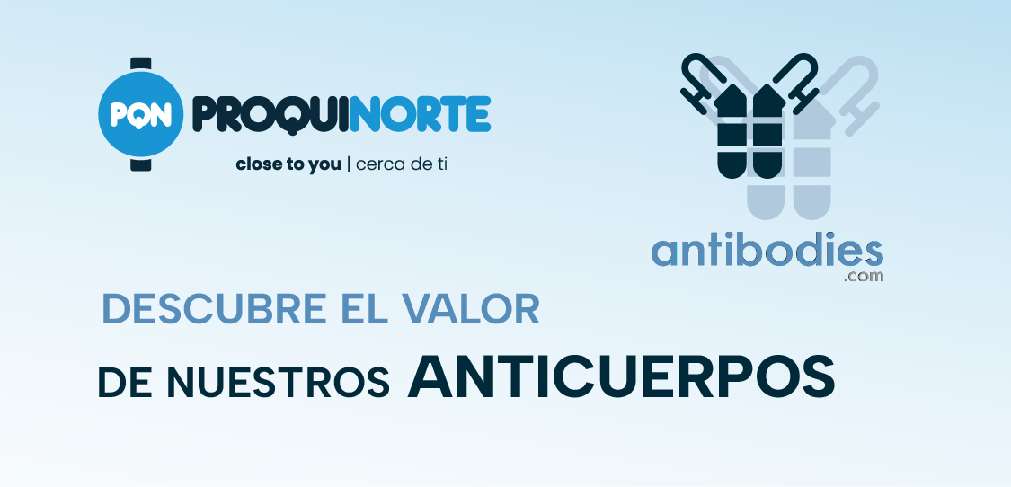 Antibodies